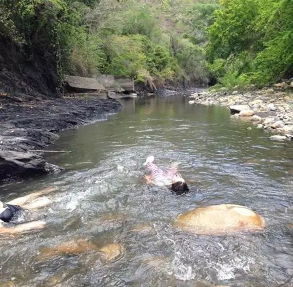 Hotelli Club Campestre El Peñón De Apulo