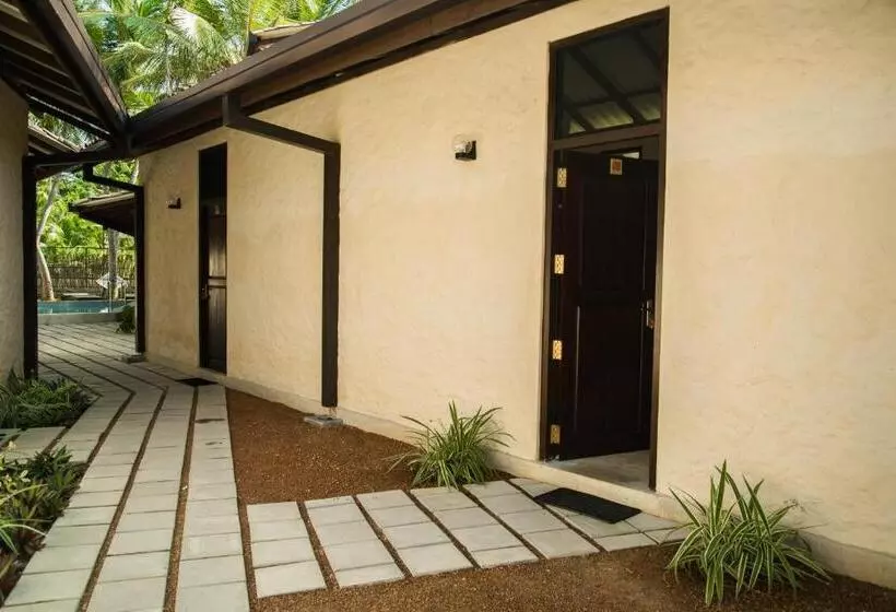 Hotelli Lime & Co Midi