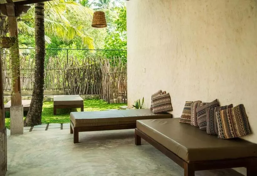 Hotelli Lime & Co Midi