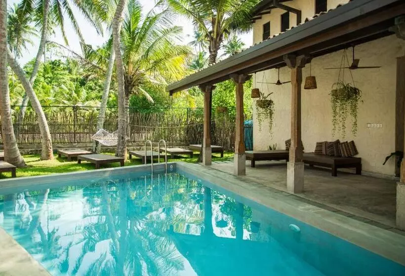 Hotelli Lime & Co Midi