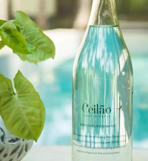 Hotelli Lime & Co Midi