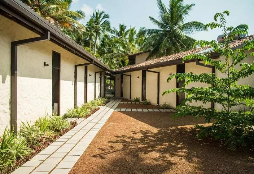 Hotelli Lime & Co Midi