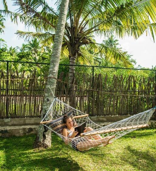 Hotel Lime & Co Midi