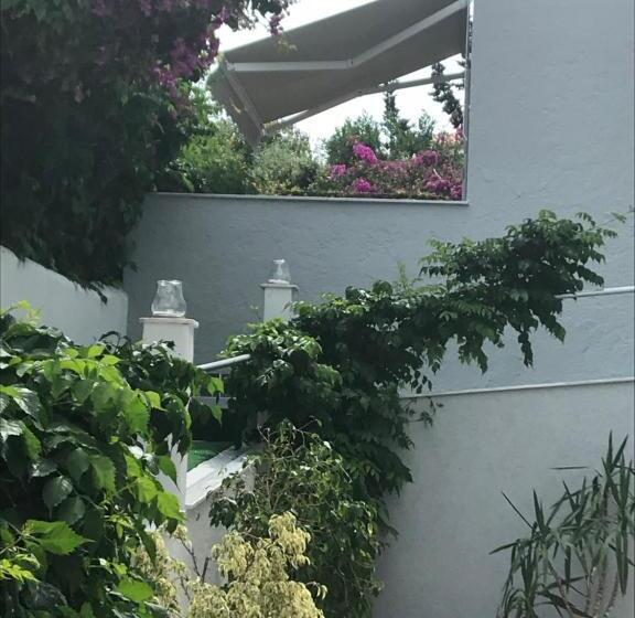 Отель Sailor S Nautical Concept