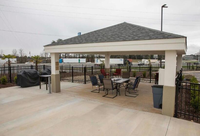 בית מלון כפרי Candlewood Suites Mcdonough, An Ihg