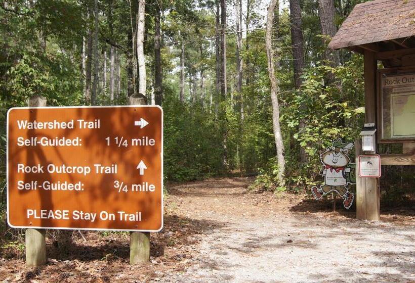 בית מלון כפרי Candlewood Suites Mcdonough, An Ihg