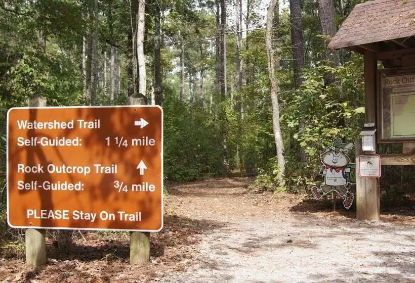 ホテル Candlewood Suites Mcdonough, An Ihg