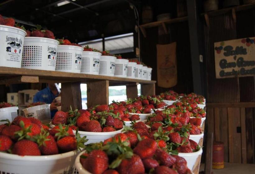 בית מלון כפרי Candlewood Suites Mcdonough, An Ihg