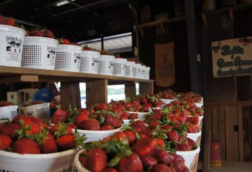 ホテル Candlewood Suites Mcdonough, An Ihg