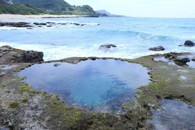 ホテル Coral Palms