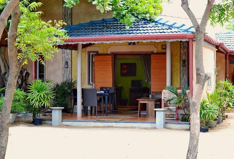 渡假胜地  Cocoville