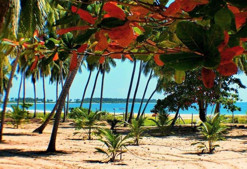 渡假胜地  Cocoville