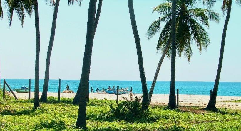 渡假胜地  Cocoville