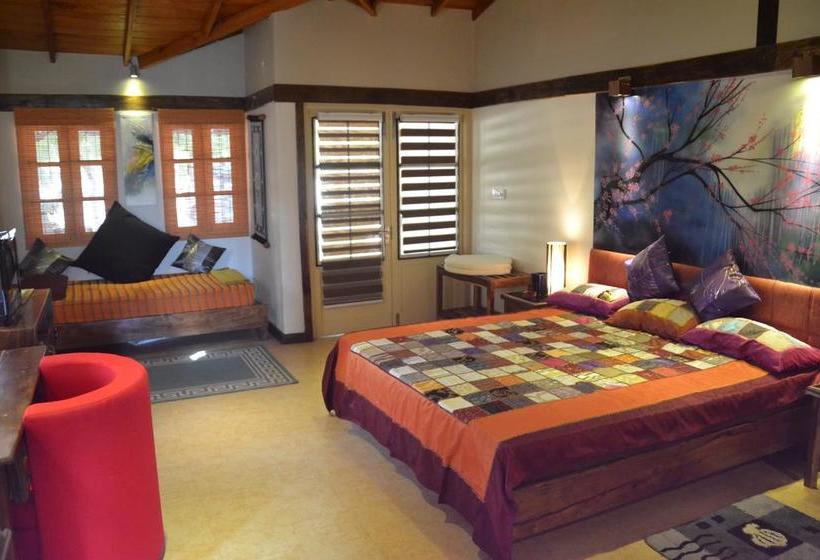 渡假胜地  Cocoville