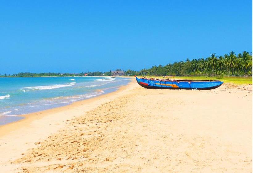 渡假胜地  Cocoville