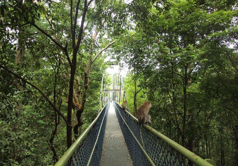 هاستل Spacepod@com