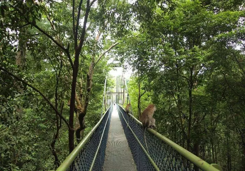 هاستل Spacepod@com