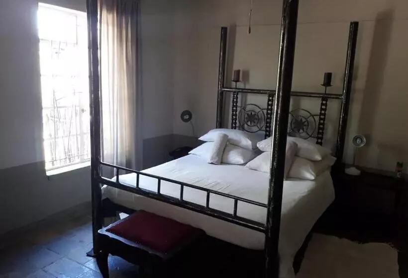 تختخواب و صبحانه Puccini House