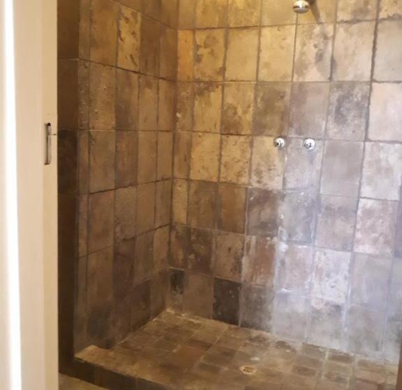 تختخواب و صبحانه Puccini House