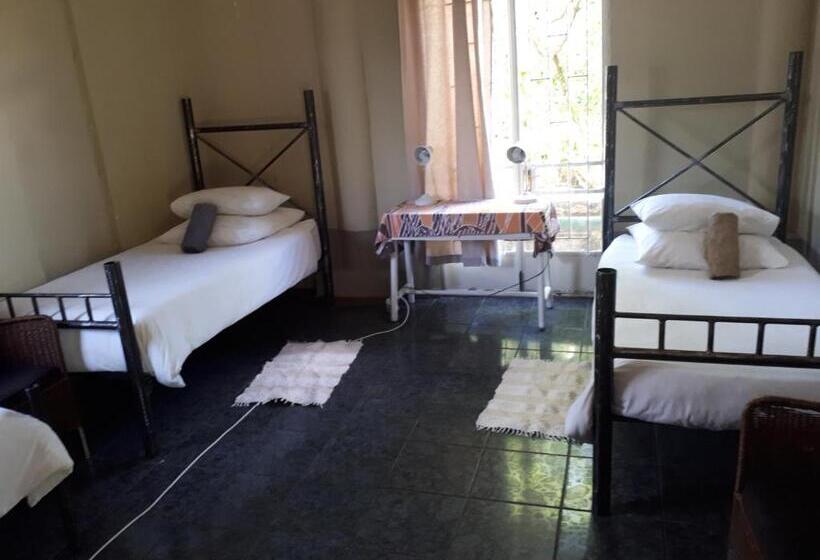 تختخواب و صبحانه Puccini House