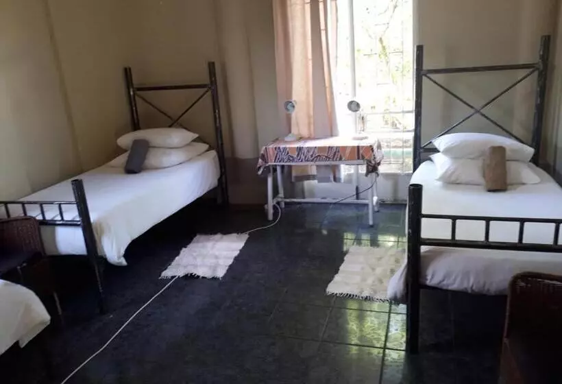 تختخواب و صبحانه Puccini House