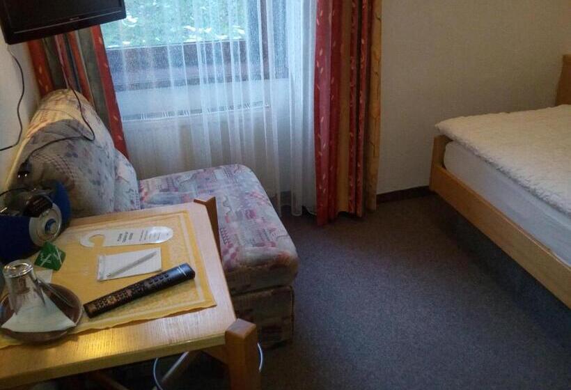 Hotell Zum Goldenen Hirschen