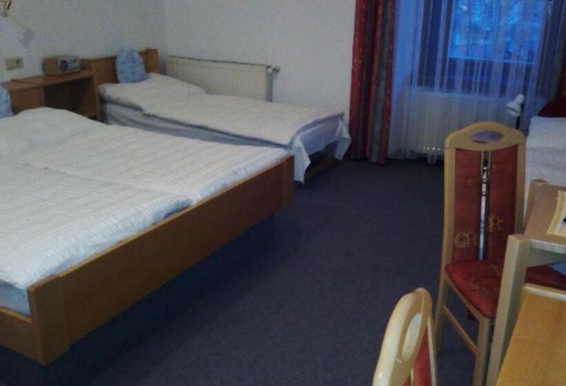 Hotell Zum Goldenen Hirschen