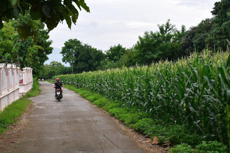 منتجع Rungnara Pool Villa
