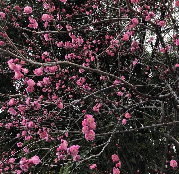 فندق صغير Petit Hotel Alla Seta