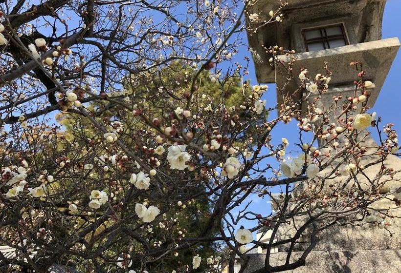 فندق صغير Petit Hotel Alla Seta