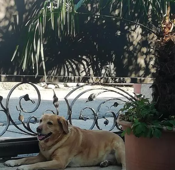 Aamiaismajoitus (B&B) Corte Tre Vigne