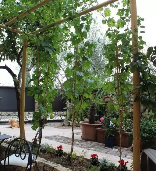 Aamiaismajoitus (B&B) Corte Tre Vigne