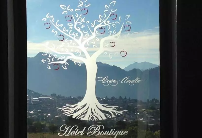 Casa Amelia Hotel Boutique