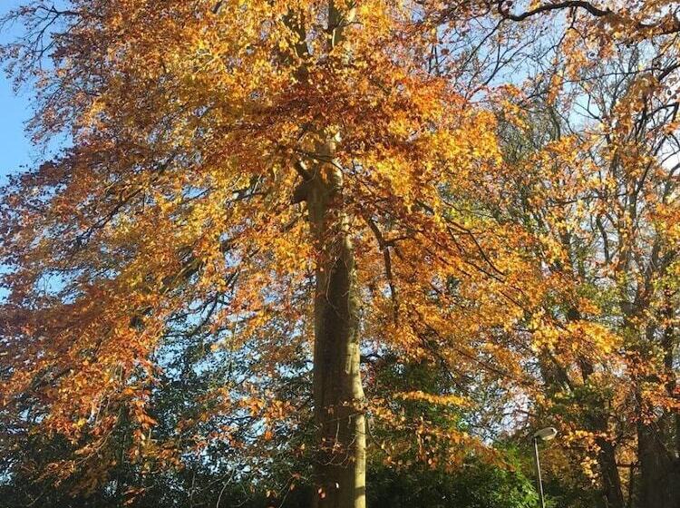 בית מלון כפרי Leixlip Manor