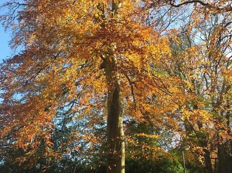 Hotelli Leixlip Manor