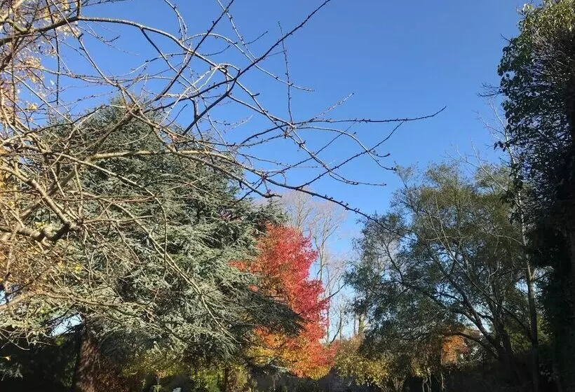 Hotelli Leixlip Manor