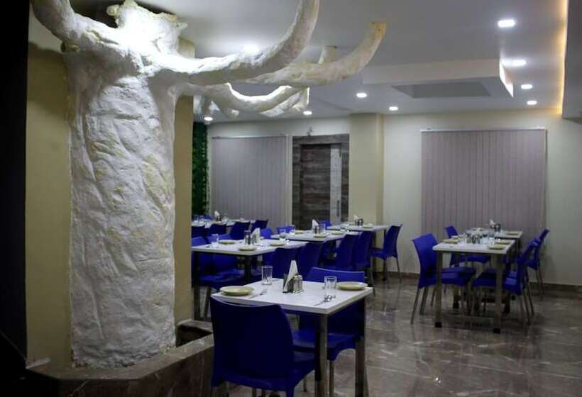 Отель Shreemoyee Inn