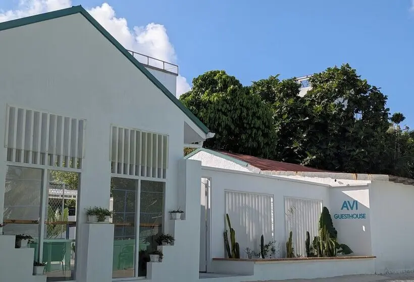 پانسیون Avi Guesthouse
