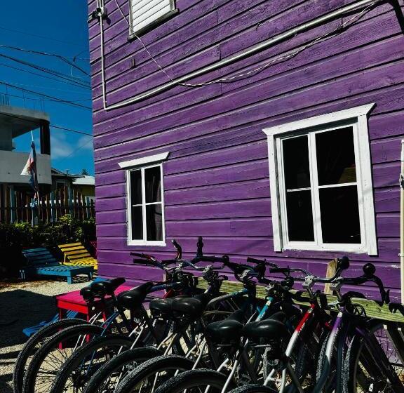 هاستل Go Slow Guesthouse