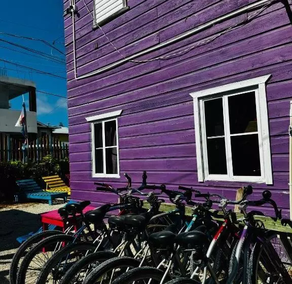 Retkeilymaja Go Slow Guesthouse