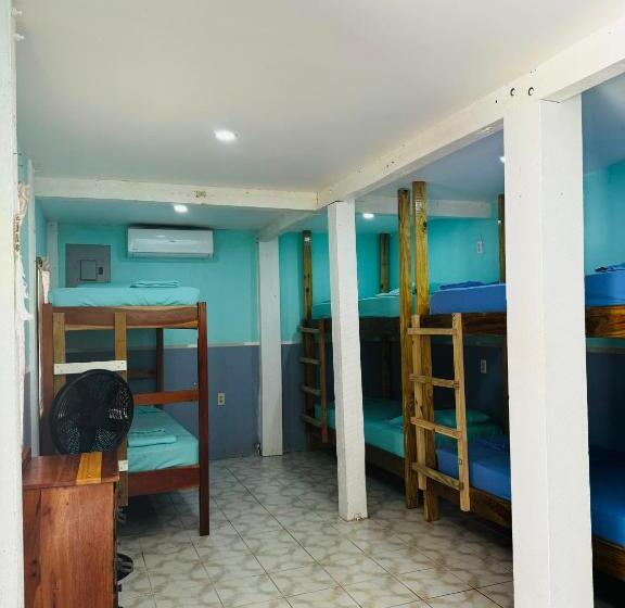 هاستل Go Slow Guesthouse