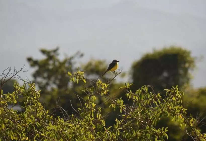 Casa D´remedios La Bella Hotel Boutique