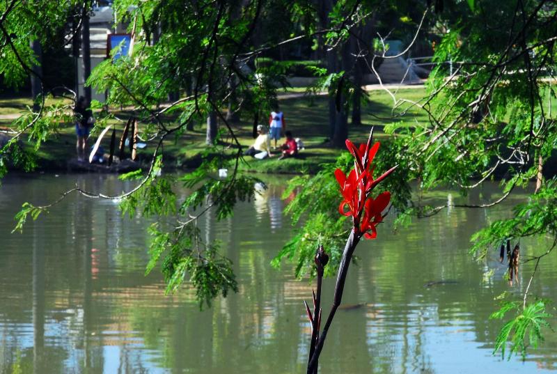 Hôtel Ibis Budget Sorocaba