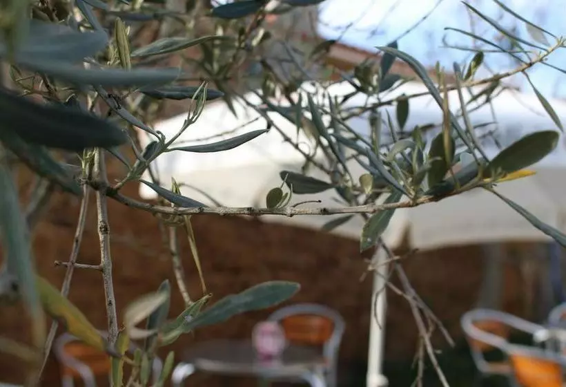 Albergue Vive Tu Camino