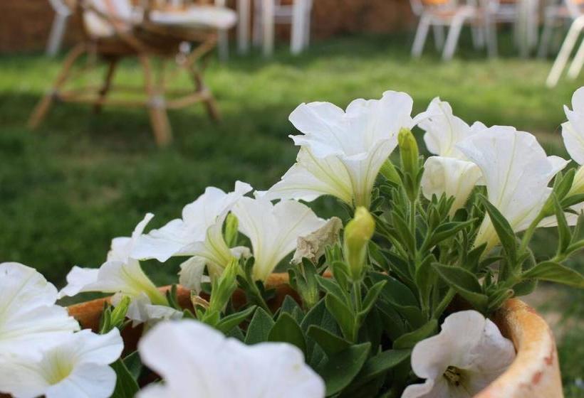 Albergue Vive Tu Camino