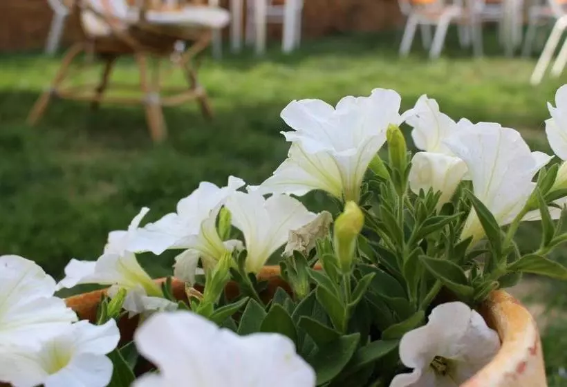 Albergue Vive Tu Camino