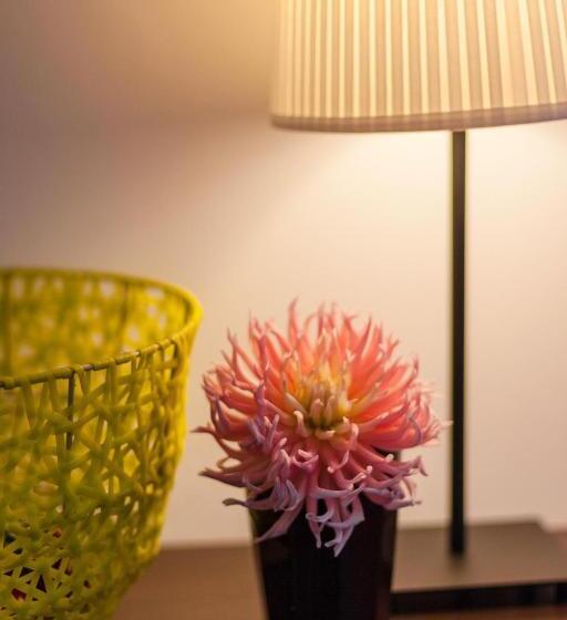 مبيت وإفطار Casa De Janeiro