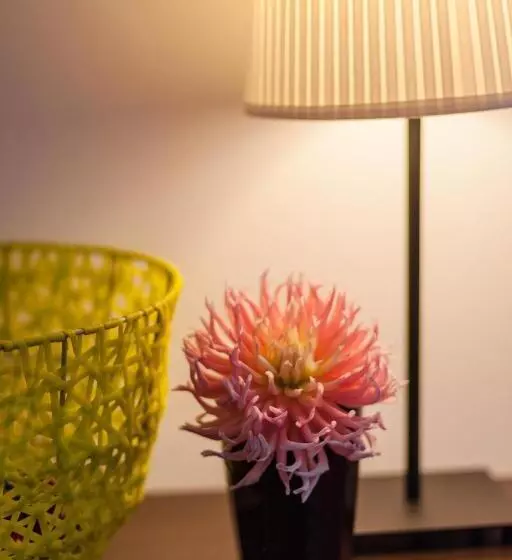 ベッドアンドブレックファースト Casa De Janeiro