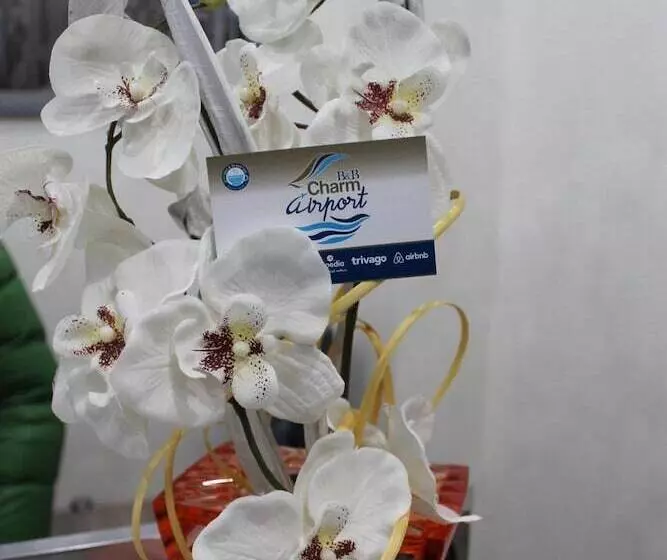 تختخواب و صبحانه Charm Airport