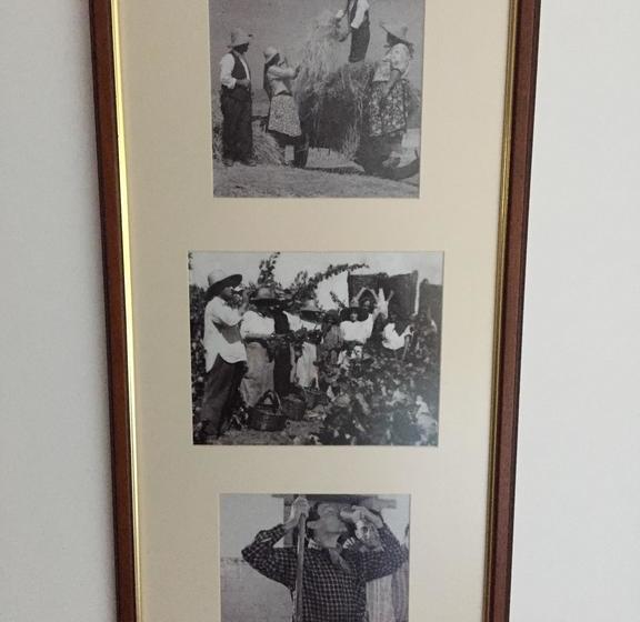 민박 Quinta Da Vinha Morta